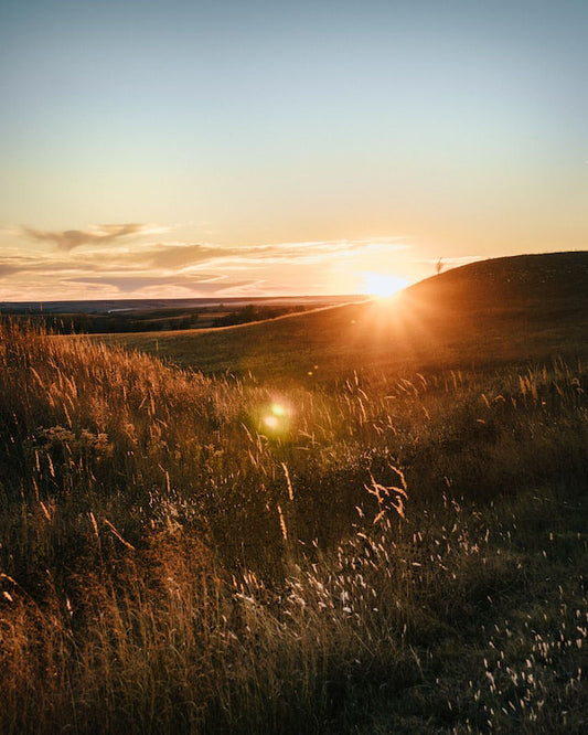 Places to jog in Kansas