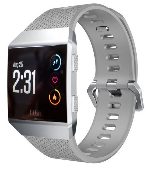 fitbit ionic watch band in gray